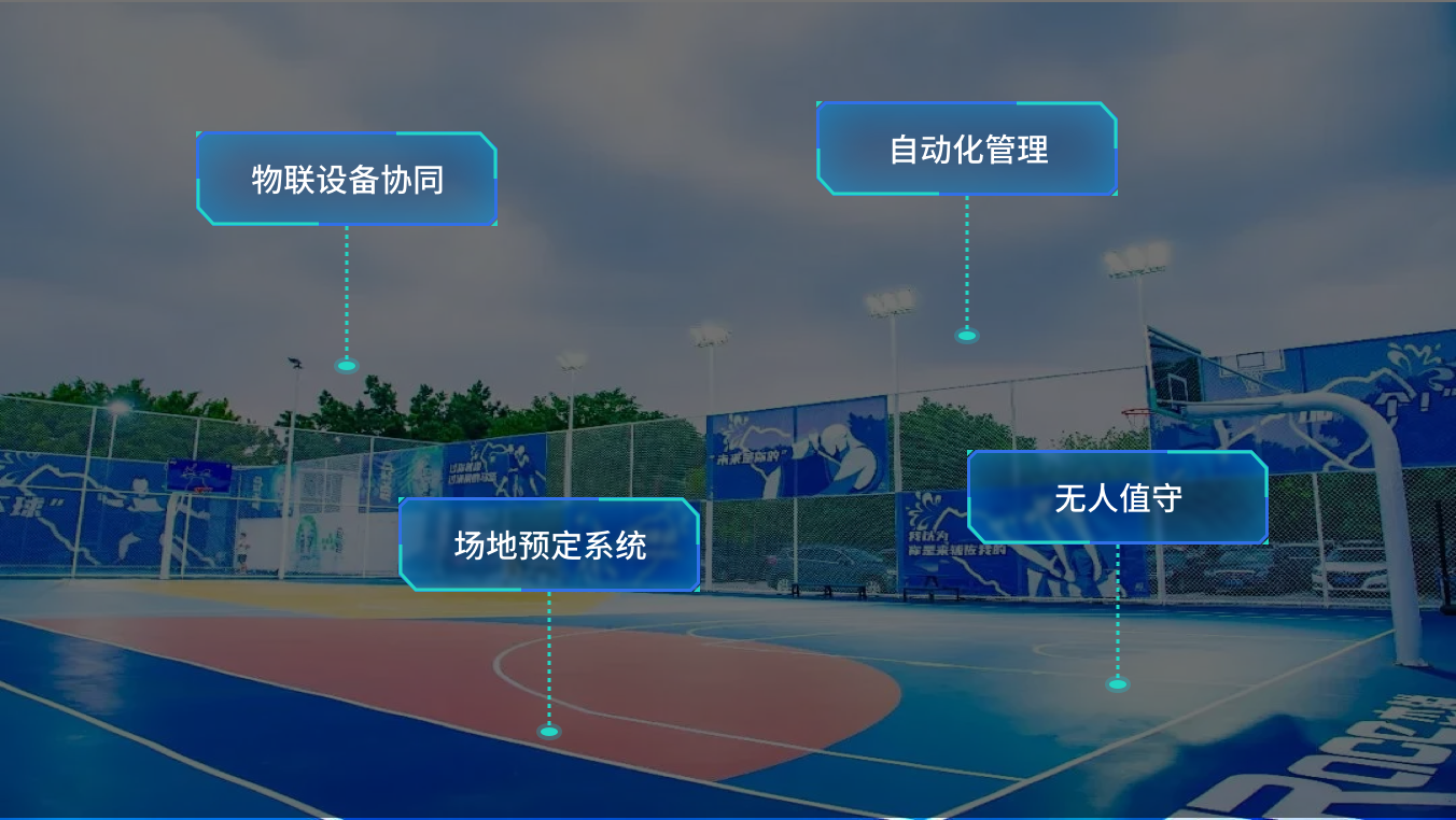 豆米跳跳